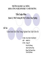 Tiểu Luận Môn Quản Lý Môi Trường Đô Thị Và Khu Công Nghiệp Đề Tài: Kiểm Soát Chất Thải Trong Nghành Sản Xuất Gốm Sứ