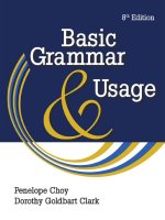 basic grammar and usage