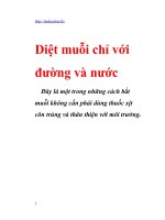 Phương pháp diệt muỗi tối ưu và những cách diệt muỗi cần tránh để bảo vệ sức khỏe con người