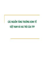 Các nguồn tăng trưởng kinh tế việt nam và vai trò của TFP