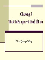 chương 3 thuế hiệu quả và thuế tối ưu