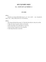 BÀI TẬP ĐIỀU KIỆN MÔN NGÔN NGỮ LẬP TRÌNH C++
