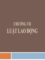 chương 7 luật lao động