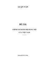Luận văn Đề tài chính sách bảo hộ hàng nội của Việt Nam