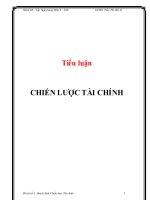 Tiểu luận: hoạch định Chiến lược tài chính
