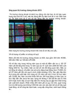 tổng quan thị trường chứng khoán 2013