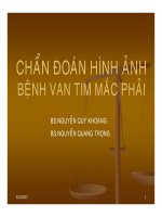 chẩn đoán hình ảnh bệnh van tim mắc phải
