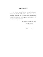 Cơ sở khoa học hoàn thiện chính sách nhà nước đối với kinh tế có vốn đầu tư nước ngoài (FIE) ở việt nam