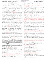 BAI TAP SONG ANH SANG