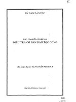 Điều tra cơ bản dân tộc cống