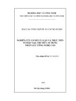 nghiên cứu cơ sở lý luận và thực tiễn về đào tạo, thu hút và sử dụng nhân lực công nghệ cao