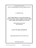 Phát triển dịch vụ ngân hàng điện tử tại ngân hàng nông nghiệp và phát triển nông thôn thành phố Thái Nguyên