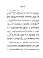 tìm hiểu hiệu quả hoạt động sản xuất kinh doanh của các hợp tác trên địa bàn xã phong sơn, phong điền, thừa thiên huế