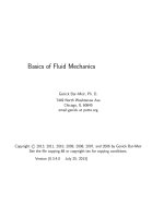 Basics of Fluid Mechanics