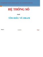 BÁO CÁO HỆ THỐNG SỐ CHỦ ĐỀ 