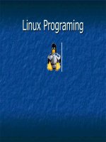 Chương 13: Lập trình Linux