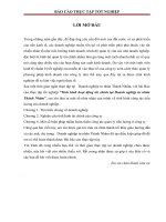 tình hình hoạt động tài chính tại doanh nghiệp tư nhân thành nhâm