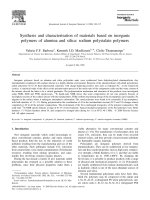 synthesis and characterisation of materials based on inorganic