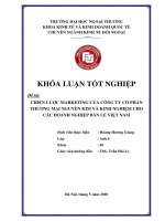 Chiến lược marketing của công ty cổ phần thương mại nguyễn kim và kinh nghiệm cho các doanh nghiệp bán lẻ việt nam