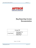 Bug reporting system
