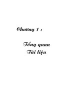 Nghiên cứu thu nhận protease kiềm tính