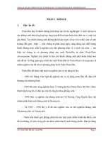 LUẬN VĂN CÔNG NGHỆ SINH HỌC TỔNG QUAN QUY TRÌNH SẢN XUẤT PENICILLIN TỪ NẤM PENICILLIUM CHRYSOGENUM