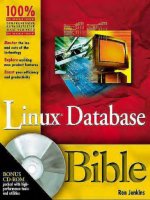 Hungry minds linux database bible (2001)