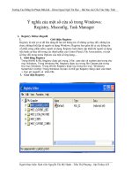 Ý nghĩa của một số cửa sổ trong windows