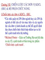 Chiến lược các đơn vị kinh doanh chiến lược và bộ phận chức năng