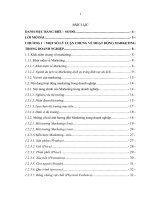 NÂNG CAO HIỆU QUẢ MARKTING - MIX TRONG LĨNH VỰC DU LỊCH TẠI CÔNG TY CỔ PHẦN ĐẦU TƯ TÂN ĐẠI DƯƠNG