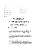 VI SINH VẬT VÀ VẤN ĐỀ NĂNG LƯỢNG (ETHANOL VA BIOGAS)