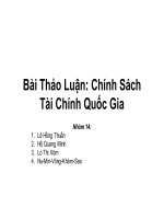 Bài thảo luận  chính sách tài chính quốc gia