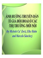 thuyết trình ảnh hưởng truyền dẫn tỉ giá hối đoái ở các thị trường mới nổi