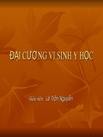 đại cương vi sinh y học