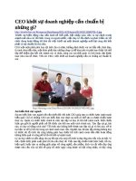 CEO khởi sự doanh nghiệp cẩn chuẩn bị những gì?