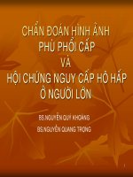 chẩn đoán hình ảnh phù phổi cấp và hội chứng nguy cấp hô hấp ở người lớn