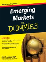 emerging markets for dummies