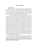 tìm hiểu các tổ chức tín dụng chính thức và tác động của hoạt động tín dụng đến sự phát triển kinh tế của  nông hộ tại xã xuân thành-yên thành-nghệ an