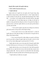 đầu tư phát triển nguồn nhân lực