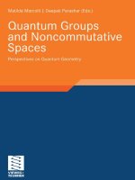 quantum groups and noncommutative spaces - persps. on quantum geometry - m. marcolli, d. parashar (teubner, 2011) ww