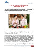 Lý do nên chọn thực thực phẩm giàu chất xơ trong bữa ăn của bạn