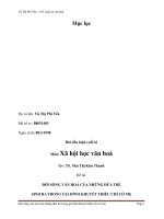 ĐỜI SỐNG VĂN HOÁ CỦA NHỮNG ĐỨA TRẺ SINH RA TRONG GIA ĐÌNH KHUYẾT THIẾU CHỈ CÓ MẸ