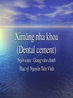 CEMENT TRONG NHA KHOA