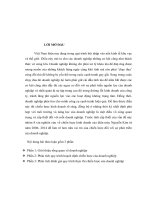 Phân tích chiến lược kinh doanh hệ thông siêu thị điện máy nguyễn kim