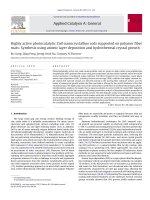 highly  active  photocatalytic  zno  nanocrystalline  rods  supported  on  polymer  fiber