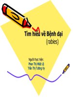 tìm hiểu về bệnh dại