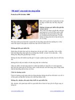 “Bí mật” của mái tóc óng mềm