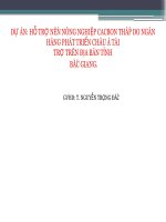 phân tích dự án hỗ trợ nền nông nghiệp cacbon thấp