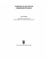 altarelli. partons in quantum chromodynamics