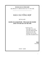 Nghiên cứu chùm đổi mới  tổng quan kinh nghiệm quốc tế và bài học cho việt nam